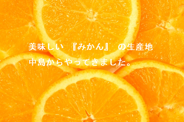 愛媛の島で育んだ美味しい蜜柑（みかん）を生産者から直接お届けいたします。はまぽりは、蜜柑農園を営んでいる生産者本人が運営しております。私どもの作った蜜柑を賞味いただいたお客様が美味しいと笑顔になる蜜柑栽培を目標にしております。３６０度海に囲まれた島ならではの環境で、潮風と太陽をいっぱい浴びた蜜柑はどこかほっとする香りと味がすると思います。どうぞご賞味ください。